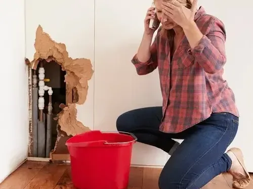 Opened wall around leaking supply pipes with a bucket catching the drip